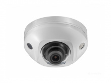 Купольная IP-камера Hikvision DS-2CD2563G0-IS